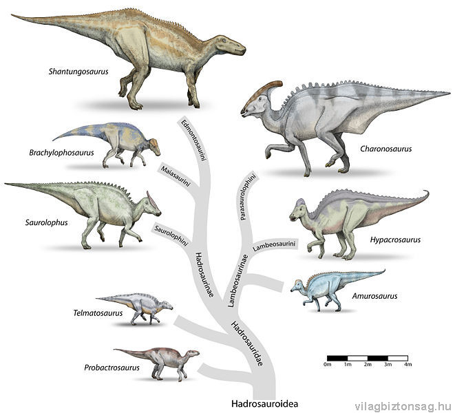Telmatosaurus transsylvanicus.jpg