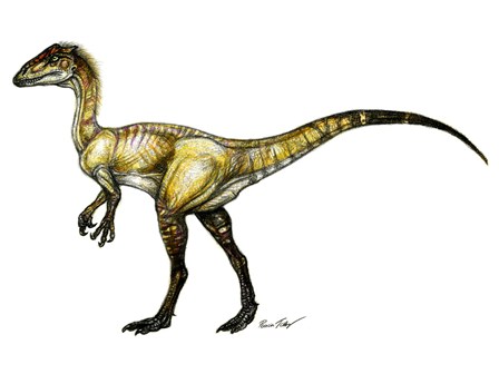 Komlosaurus rekonstrukció