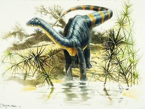 magyarosaurus dacus.jpg